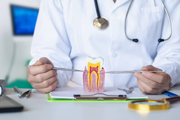 Best Emergency Orthodontic Repairs in Columbia City, OR